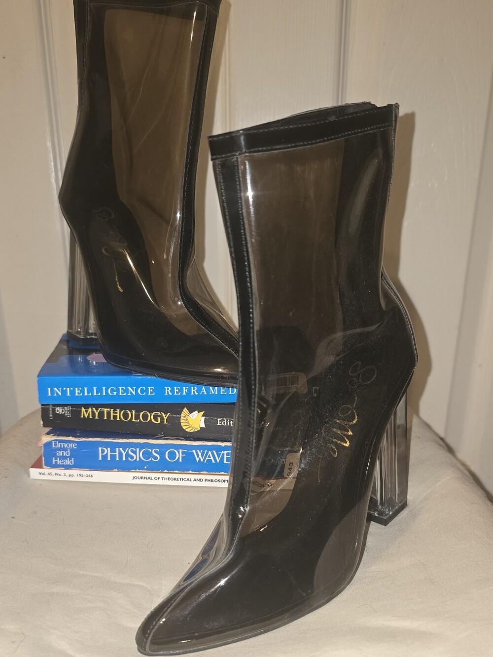 So Me Tonya Smoked Clear PVC Pointed Toe Block Heel Booties